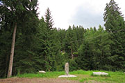Abb.    34